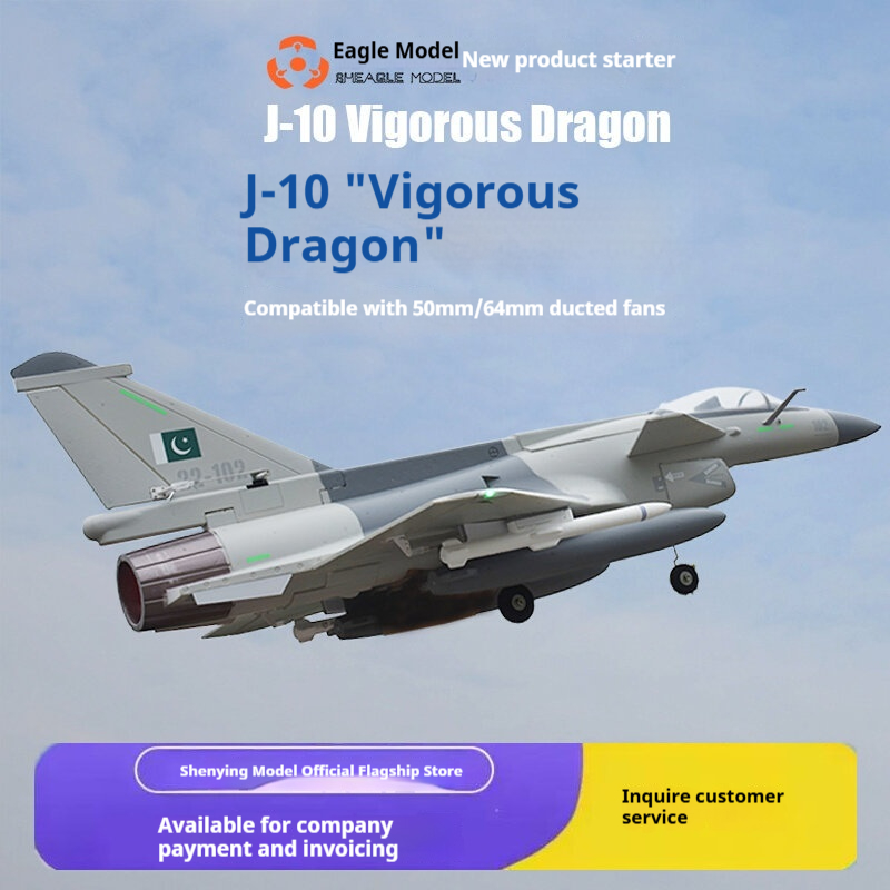 Aereo RC Rheagle Modello J-10  - Model Kit Expert recensione e prezzo