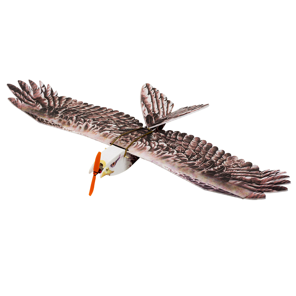 DW Hobby Eagle II EPP Aereo RC - Model Kit Expert recensione e prezzo