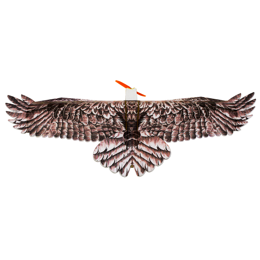 DW Hobby Eagle II EPP Aereo RC - Model Kit Expert recensione e prezzo