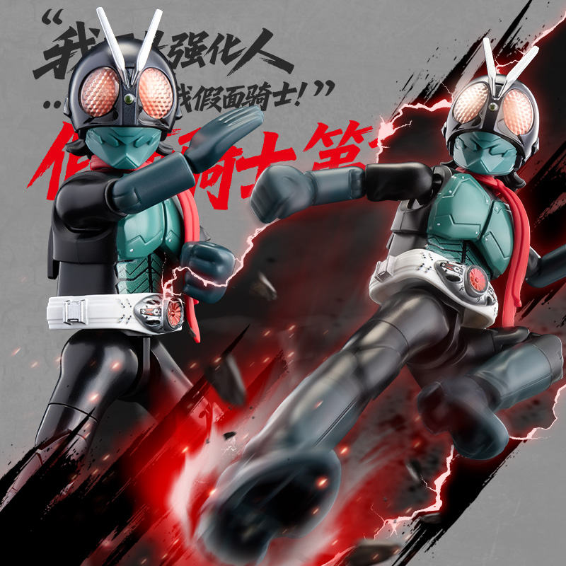 Originale BLOKEES Kamen Rider  - Model Kit Kamen Rider recensione e prezzo